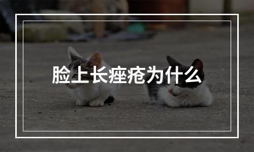 脸上长痤疮为什么