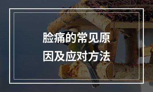 脸痛的常见原因及应对方法