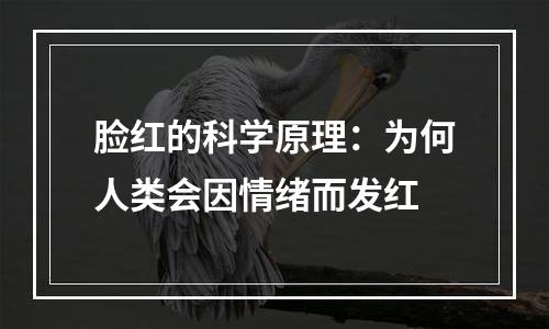 脸红的科学原理：为何人类会因情绪而发红