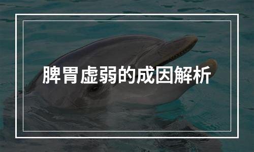 脾胃虚弱的成因解析