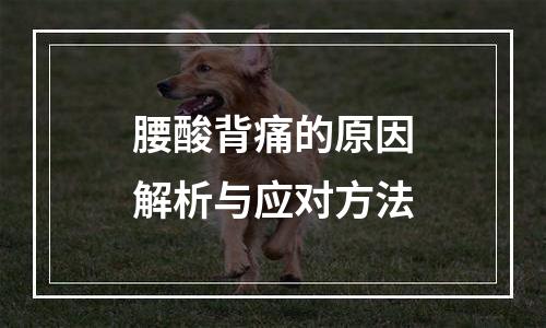 腰酸背痛的原因解析与应对方法