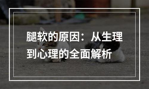 腿软的原因：从生理到心理的全面解析