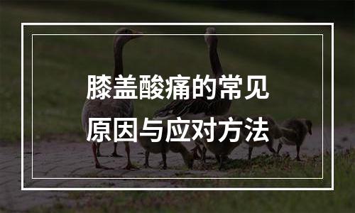 膝盖酸痛的常见原因与应对方法