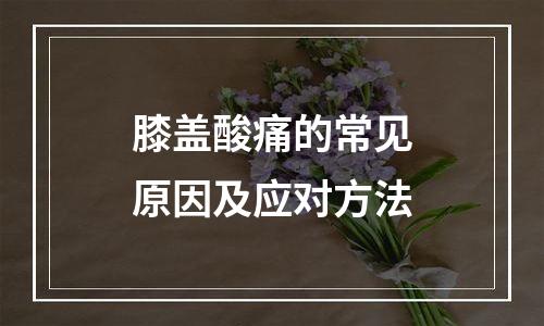 膝盖酸痛的常见原因及应对方法