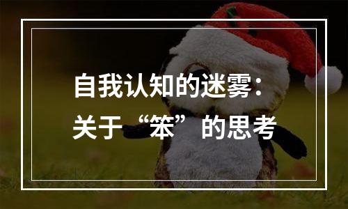 自我认知的迷雾：关于“笨”的思考