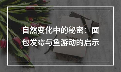 自然变化中的秘密：面包发霉与鱼游动的启示