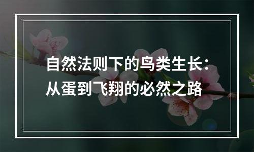 自然法则下的鸟类生长：从蛋到飞翔的必然之路