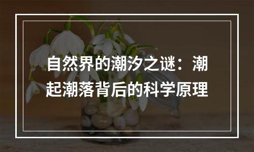 自然界的潮汐之谜：潮起潮落背后的科学原理