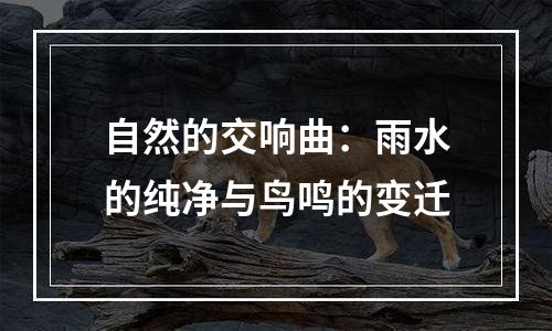 自然的交响曲：雨水的纯净与鸟鸣的变迁