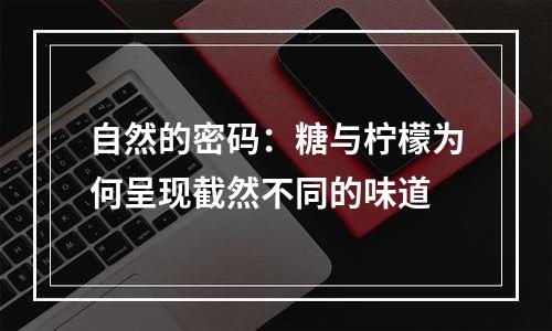自然的密码：糖与柠檬为何呈现截然不同的味道