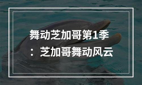 舞动芝加哥第1季：芝加哥舞动风云