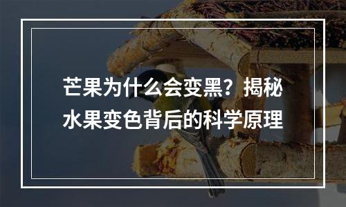 芒果为什么会变黑？揭秘水果变色背后的科学原理