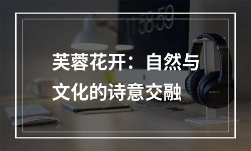 芙蓉花开：自然与文化的诗意交融