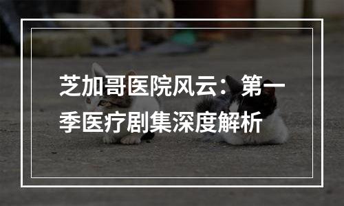 芝加哥医院风云：第一季医疗剧集深度解析