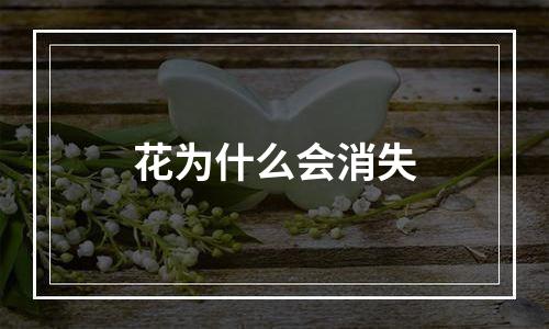 花为什么会消失