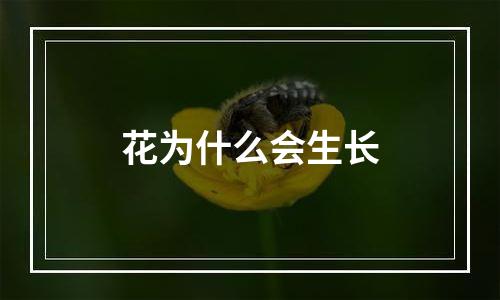 花为什么会生长