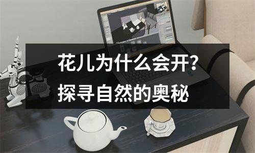 花儿为什么会开？探寻自然的奥秘