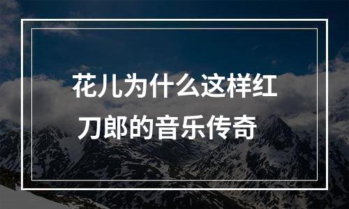 花儿为什么这样红 刀郎的音乐传奇