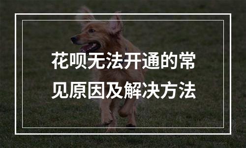 花呗无法开通的常见原因及解决方法