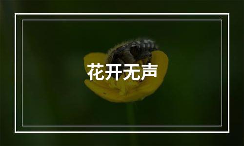 花开无声