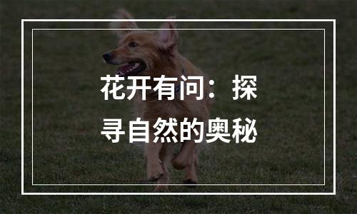花开有问：探寻自然的奥秘