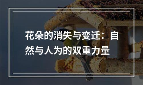 花朵的消失与变迁：自然与人为的双重力量