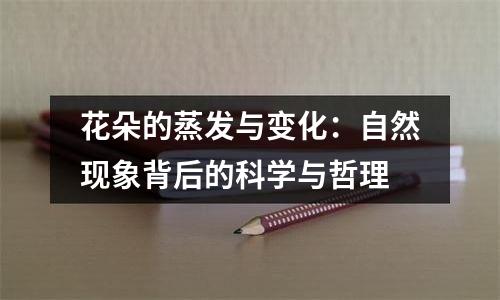 花朵的蒸发与变化：自然现象背后的科学与哲理