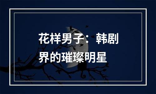 花样男子：韩剧界的璀璨明星