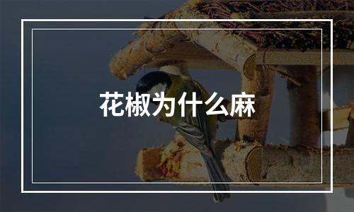 花椒为什么麻