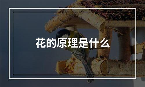 花的原理是什么
