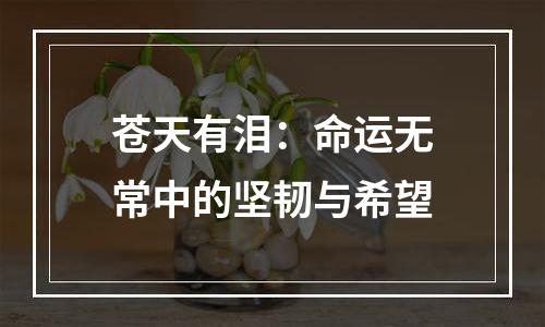 苍天有泪：命运无常中的坚韧与希望