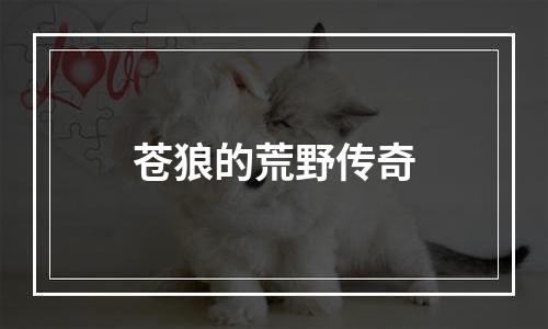 苍狼的荒野传奇