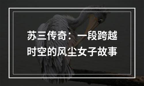 苏三传奇：一段跨越时空的风尘女子故事