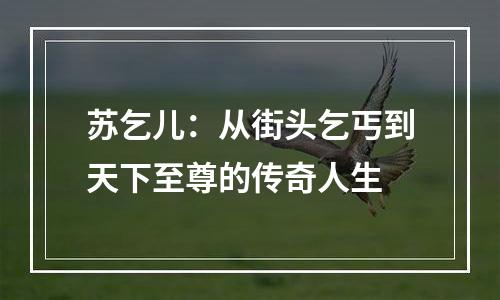 苏乞儿：从街头乞丐到天下至尊的传奇人生