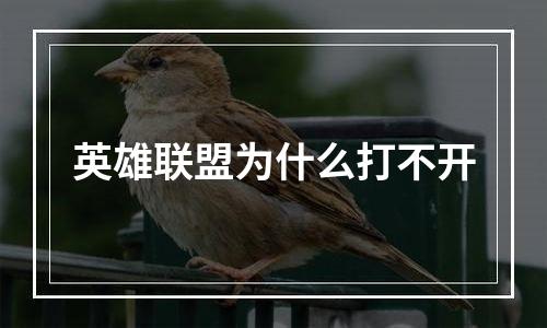 英雄联盟为什么打不开