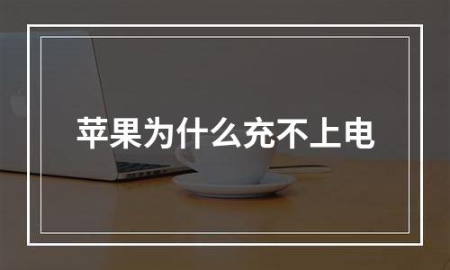 苹果为什么充不上电