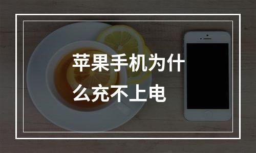 苹果手机为什么充不上电