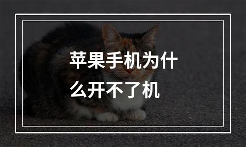苹果手机为什么开不了机