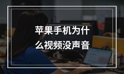 苹果手机为什么视频没声音