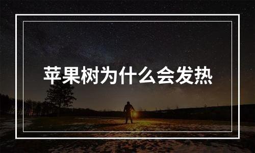 苹果树为什么会发热