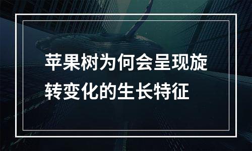 苹果树为何会呈现旋转变化的生长特征