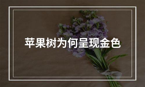 苹果树为何呈现金色