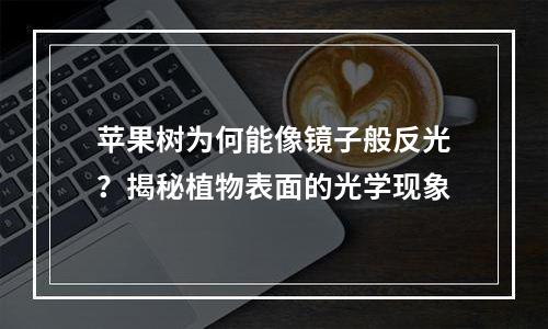 苹果树为何能像镜子般反光？揭秘植物表面的光学现象