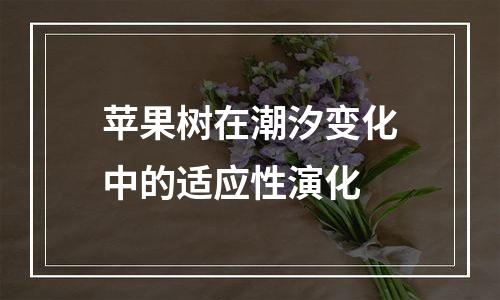 苹果树在潮汐变化中的适应性演化