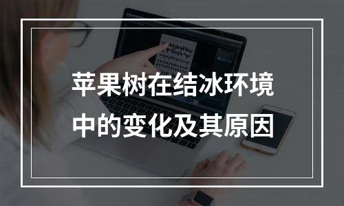 苹果树在结冰环境中的变化及其原因