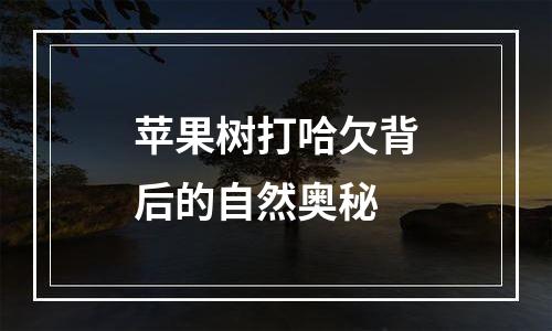 苹果树打哈欠背后的自然奥秘