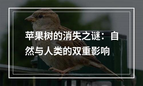 苹果树的消失之谜：自然与人类的双重影响