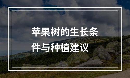 苹果树的生长条件与种植建议