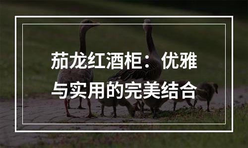 茄龙红酒柜：优雅与实用的完美结合