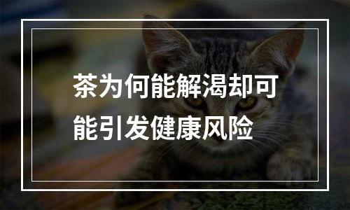 茶为何能解渴却可能引发健康风险